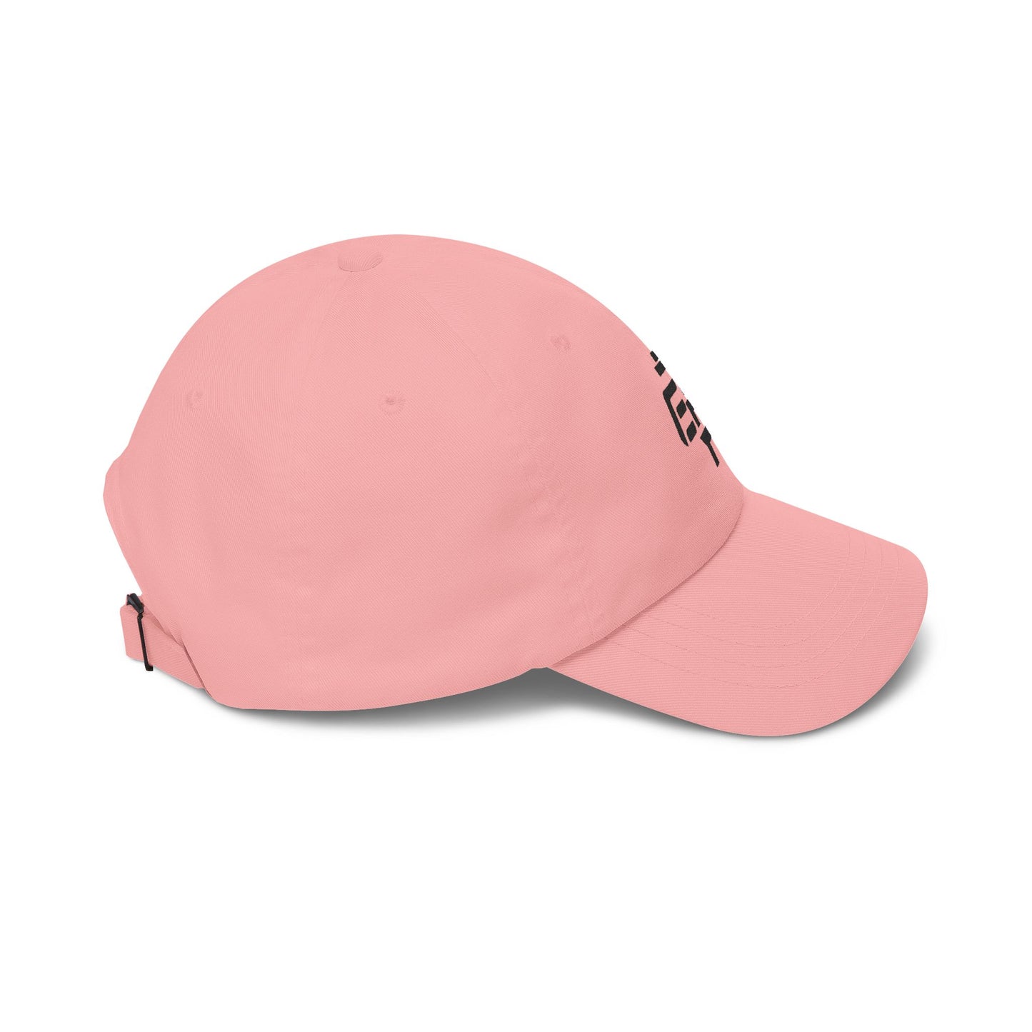 Baseball Hat (Black Logo)