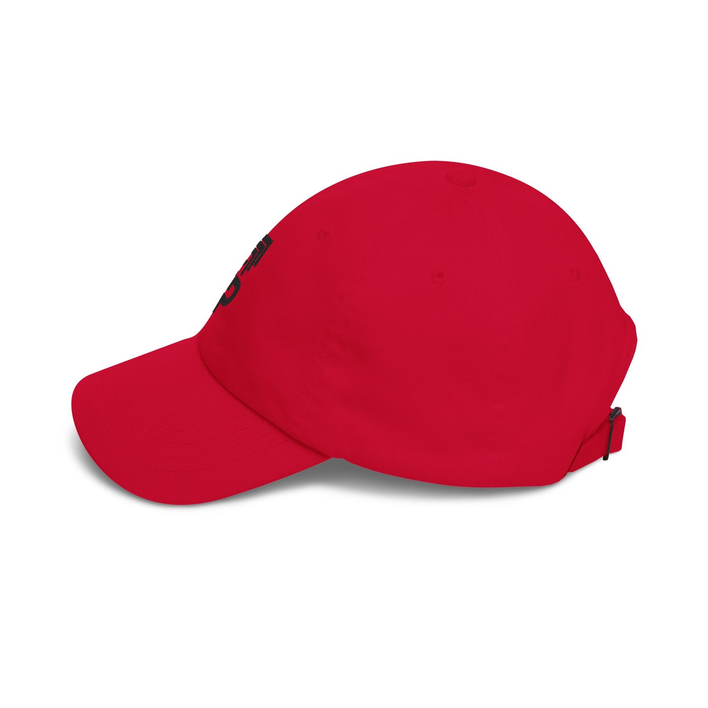 Baseball Hat (Black Logo)