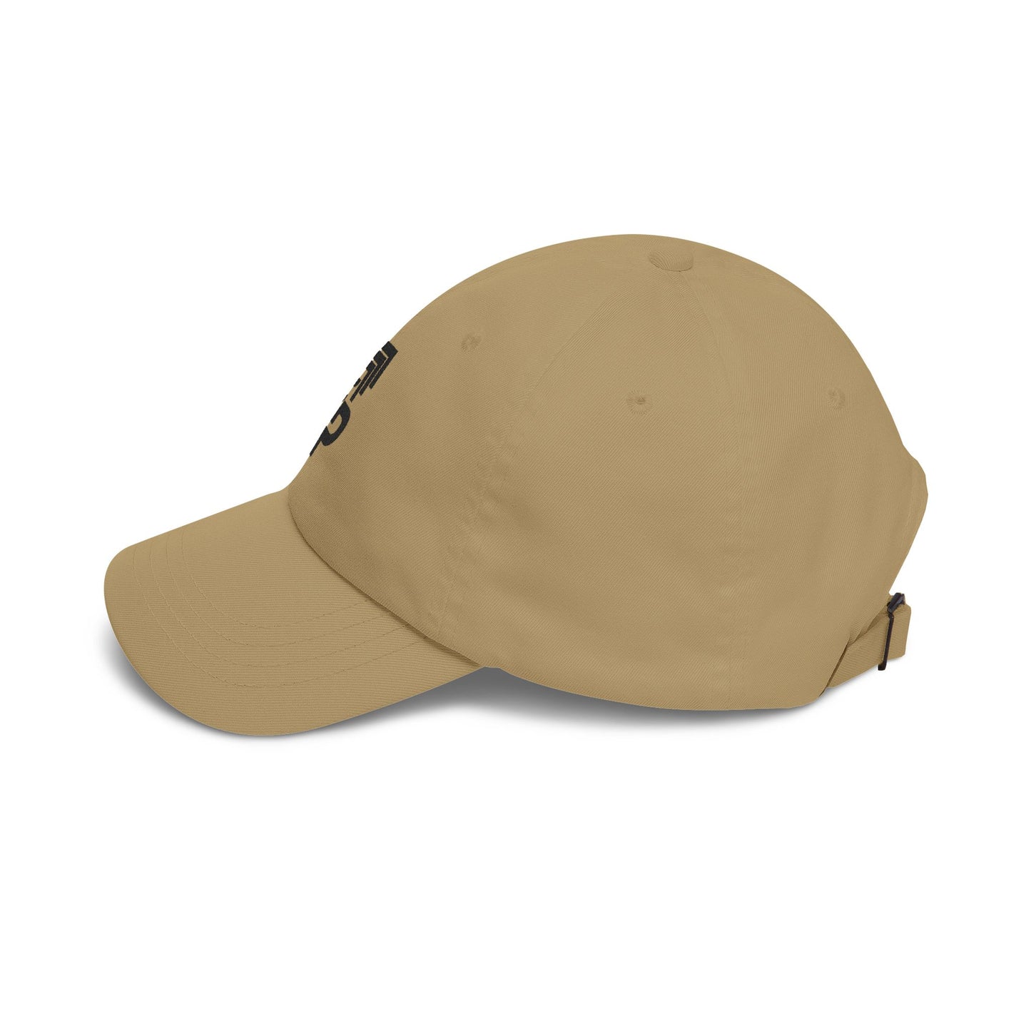 Baseball Hat (Black Logo)
